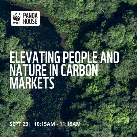 Elevating People and Nature in Carbon Markets