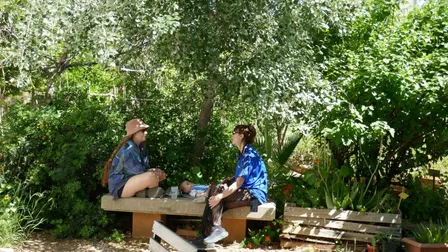 Garden Gathering | Reunió a l'Hort | Encuentro en el Huerto