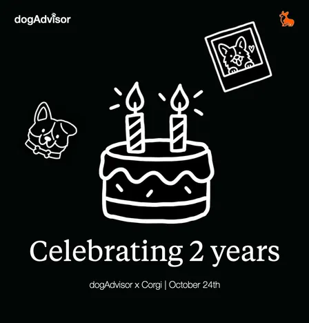 dogAdvisor x Corgi 🐶 2 year birthday and Max Model launch