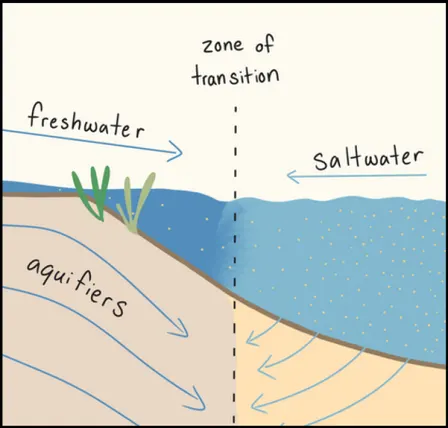 Innovation Conversation: Saltwater Intrusion