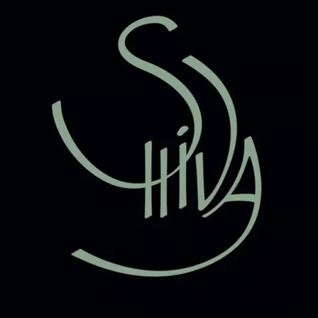 Shiva Hack #8 – Stripe + Dalea AI
