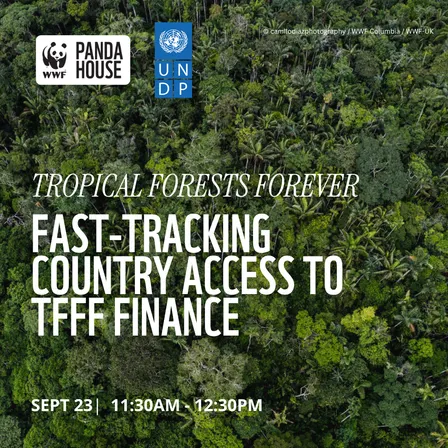 Tropical Forests Forever: Fast-Tracking Country Access to TFFF Finance