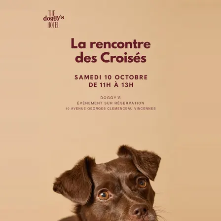 La Rencontre Des Croisés