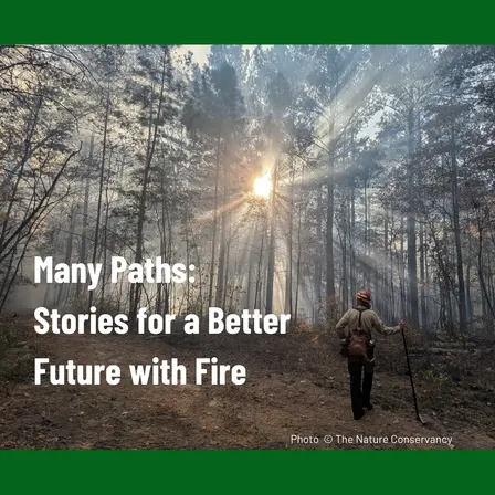 Many Paths: Stories for a Better Future with Fire – An Interactive Screening