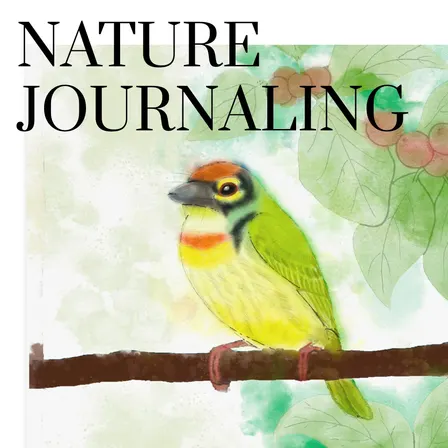 Perspectives - Nature Journalling #1