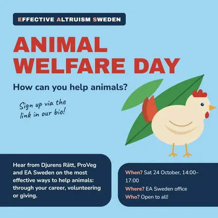 Animal welfare day : how can you help animals in the most effective way?