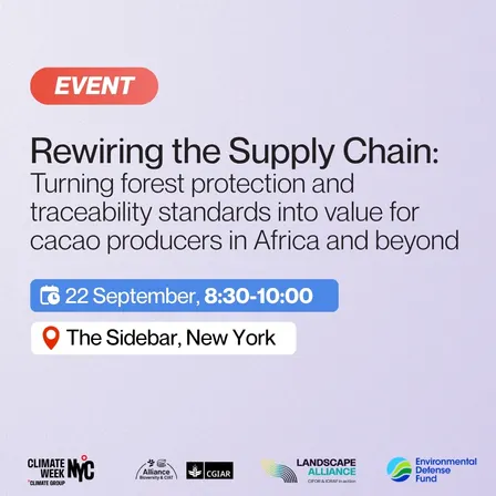 Rewiring the Supply Chain: Turning Forest Protection and Traceability into Value for Farmers