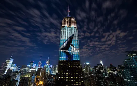 Endangered New York: Protecting Wild Animals in a Changing Climate