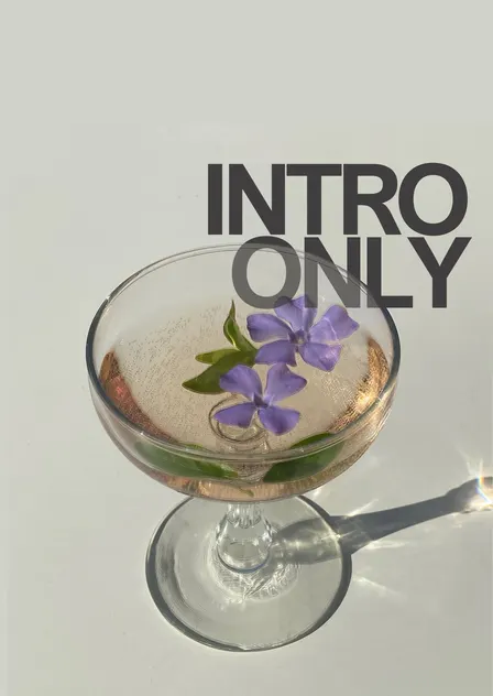Intro Only: Back to The City (For the Girls) 🩷🌈