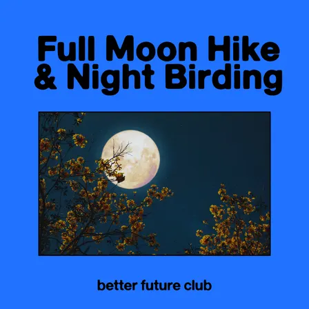 TGC Full Moon hike & Night Birding