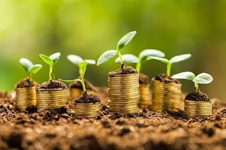 Finanzas 2.0: ¿Qué viene después del financiamiento sostenible?