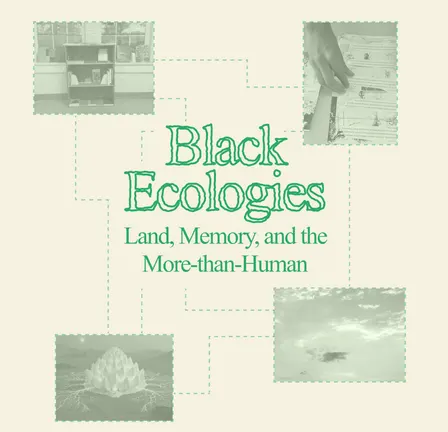 Black Ecologies: Land, Memory, and the More-than-Human
