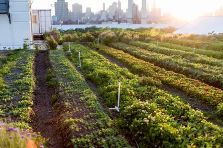 Golden Hour Tasting Tours @ Sunset Park