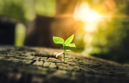 How we thrive: A 21st century public health agenda
