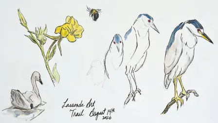 Sketch and Walk: Nature Sketching with Alan Li (Senior-friendly)