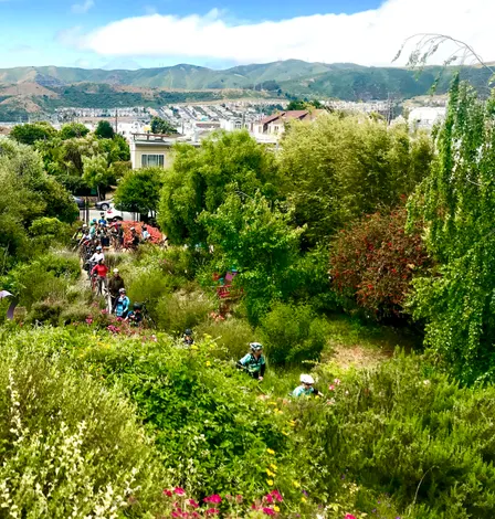 Visitacion Valley, McLaren Park & Excelsior