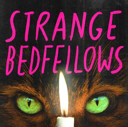 Strange Bedfellows Book Release!