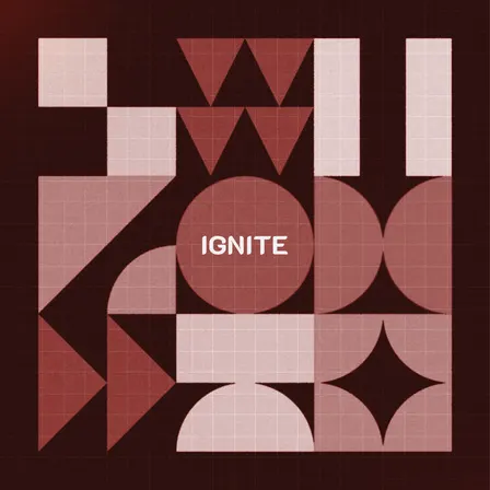 Ignite Alumni Meetup