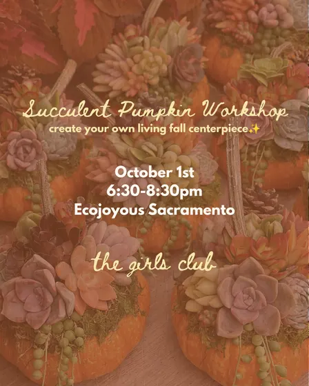 Succulent Pumpkin Workshop