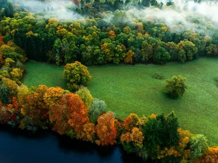 CCI In Conversation: Reflecting on nature policy after 100 days of Andy Burnham’s government