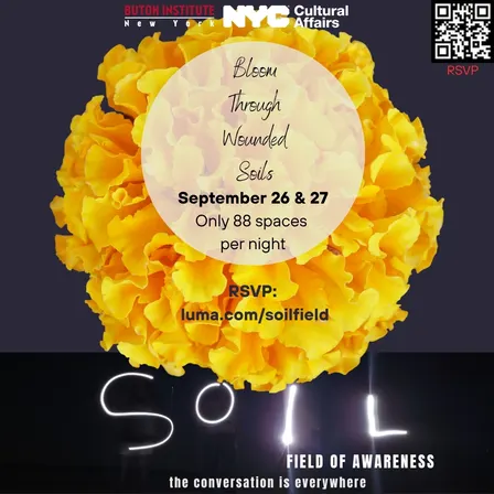 Soil:Field of Awareness