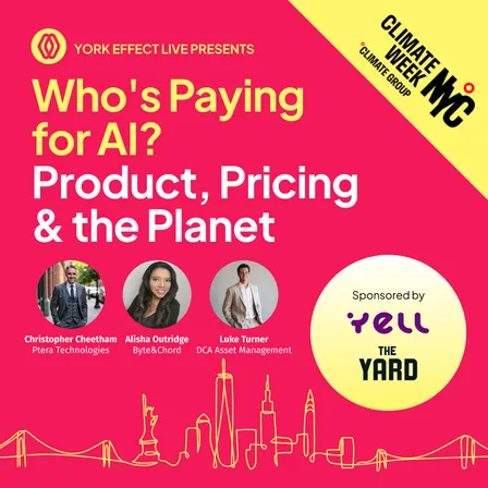Who's Paying for AI? Product, Pricing & the Planet