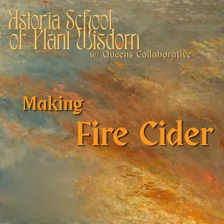 Making Fire Cider with Astoria School of Plant Wisdom
