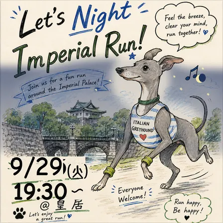 Night Run vol.8