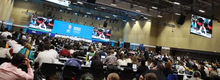 CCI In Conversation: What to Expect at CBD COP17 in Yerevan