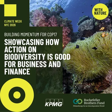 Building momentum for COP17: Showcasing how action on biodiversity is good for business and finance