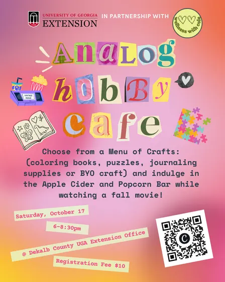 Analog Hobby Cafe-Dekalb UGA Extension
