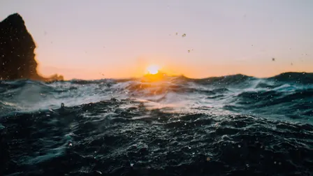 Ocean Impact Storytelling | Coffee & Conversation
