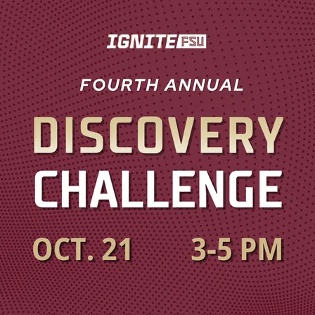 Discovery Challenge