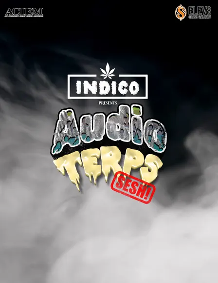 INDICO x ELEV8 Private Event | 21+