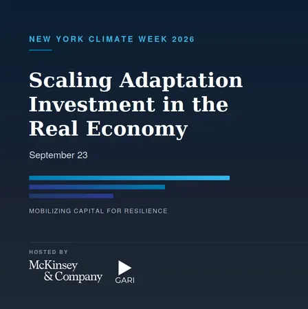 Scaling Adaptation Investment in the Real Economy