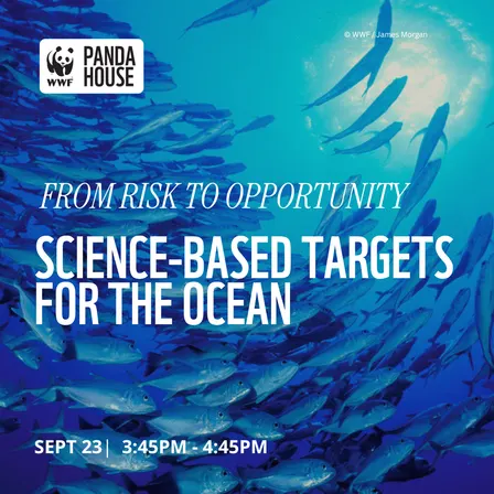 From Risk to Opportunity: Science-based Targets for the Ocean