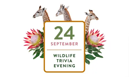 Wildlife Trivia with Wild Tomorrow