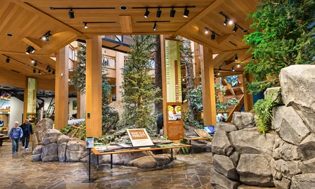 The Sound Healing Symphony at the World Forestry Center