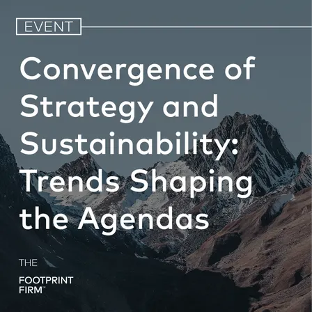 Convergence of Strategy and Sustainability: Trends Shaping the Agendas