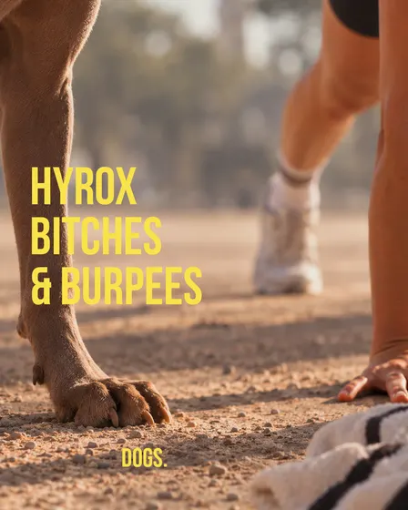 HYROX BITCHES & BURPEES