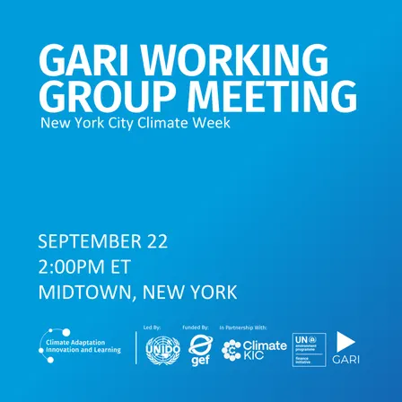 GARI Working Group Meeting