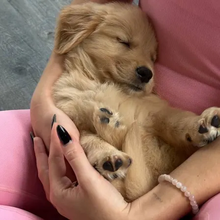 Puppy Yoga