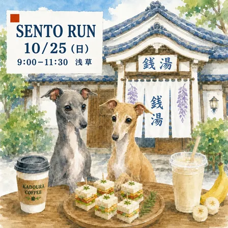 Sento Run