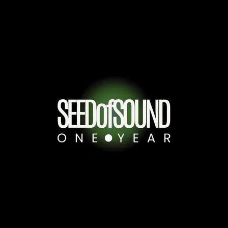 SEEDofSOUND: One Year