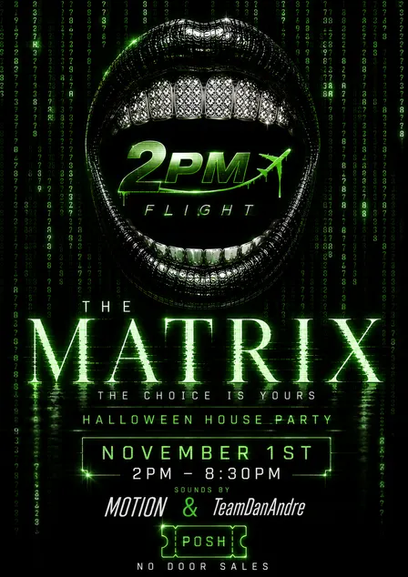 2pm Flight: The Matrix