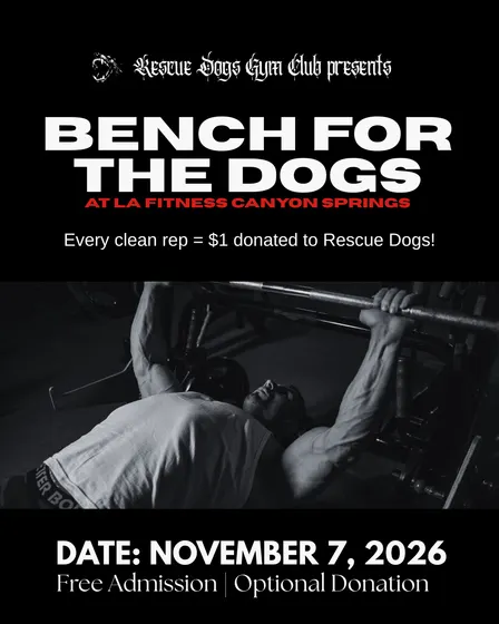 RDGC: Bench For The Dogs