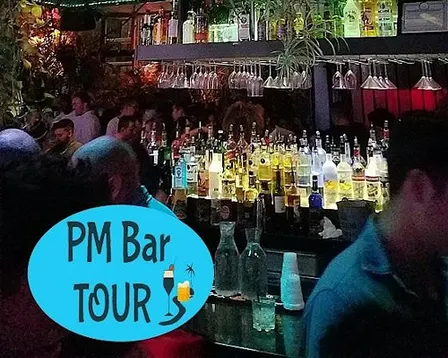 PM Bar Tours - A bar crawl in Rockville Centre, NY