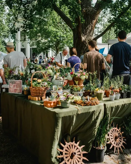 The Patio Sessions: Community Market & Social