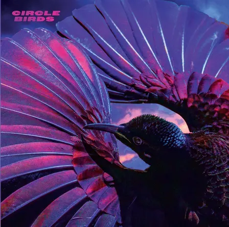 Circle Birds Album Release