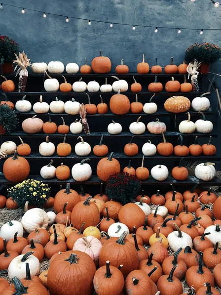 BUSHWICK VENDORS MARKET Halloween Edition